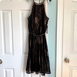 NWT! NY&Co Summer Cocktail Dress size xsmall